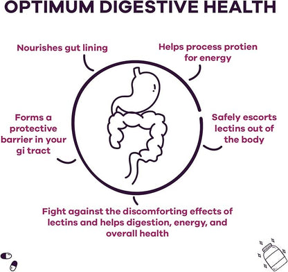 GOBIOTIX Lectin Defense - Lectin Blocker Supplement with MSM and Digestive Enzymes - Aids in Intestinal Health for Women and Men - Non-GMO + Gluten Free - 60 Capsules (1)