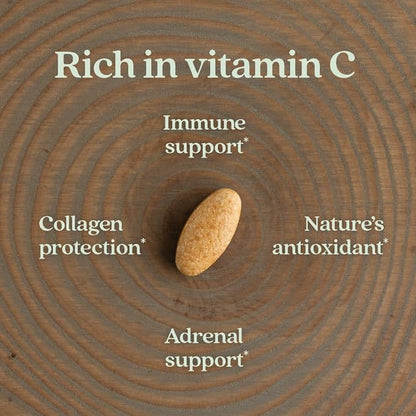 New Chapter Fermented Vitamin C + Elderberry, ONE Daily for Immune Support & Collagen Protection, Made with Organic Herbs, Certified Vegan, Gluten Free, 60 Count