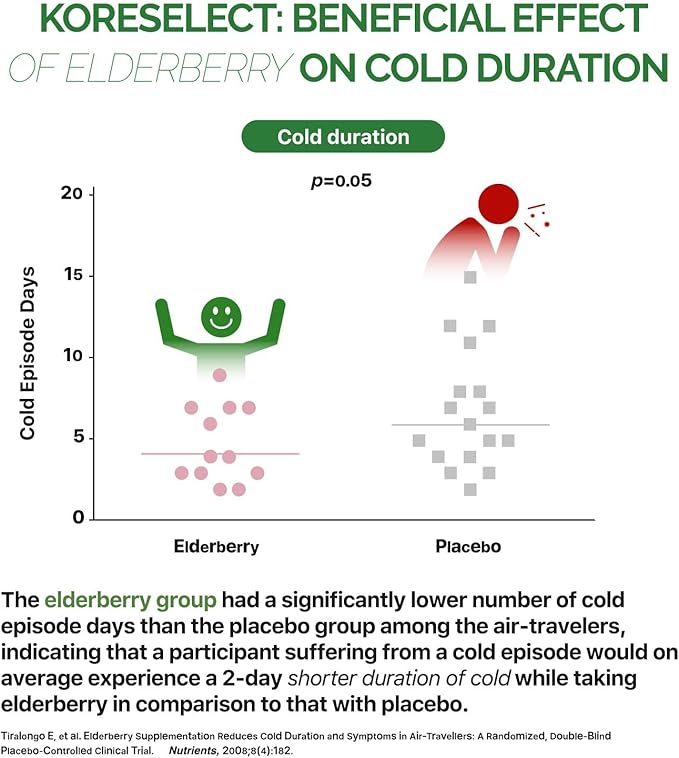 Elderberry Capsules with Panax Ginseng 6-in1 Herbal 60 Capsules