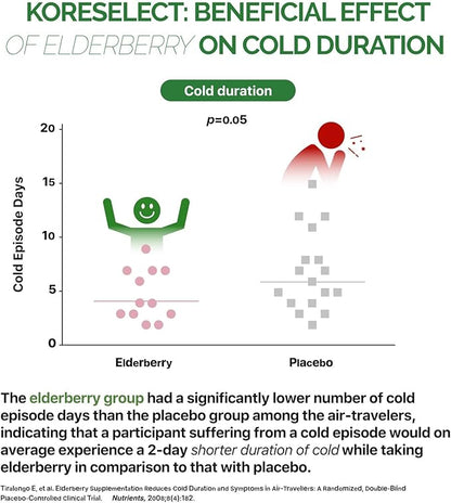 Elderberry Capsules with Panax Ginseng 6-in1 Herbal 60 Capsules