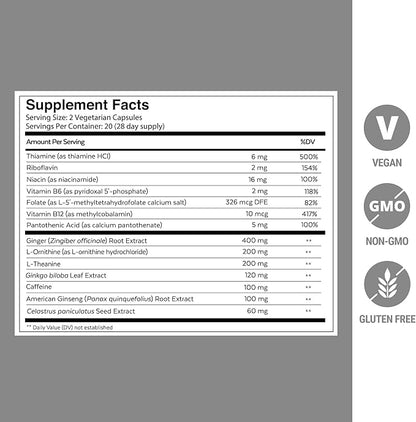 Qualia Focus Brain Booster Supplement | A Powerful Nootropic Designed to Deliver Sustained Mental Energy, Alertness, Concentration & Memory | with Ginkgo Biloba, L-Theanine Plus (Pack of 3)