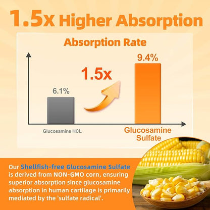 ZEBORA Glucosamine Chondroitin Joint Support Supplement, 120 Capsules