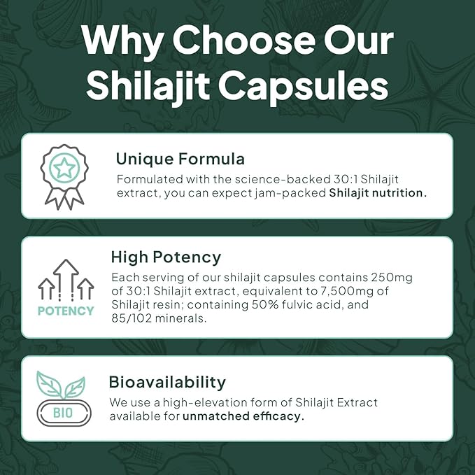 One-Per-Day Shilajit for Men and Women - Natural and Potent Shilajit Supplement for Age-Defying, Bone Strength, Hormone Support and More - 6 Bottles Shilajit Capsules