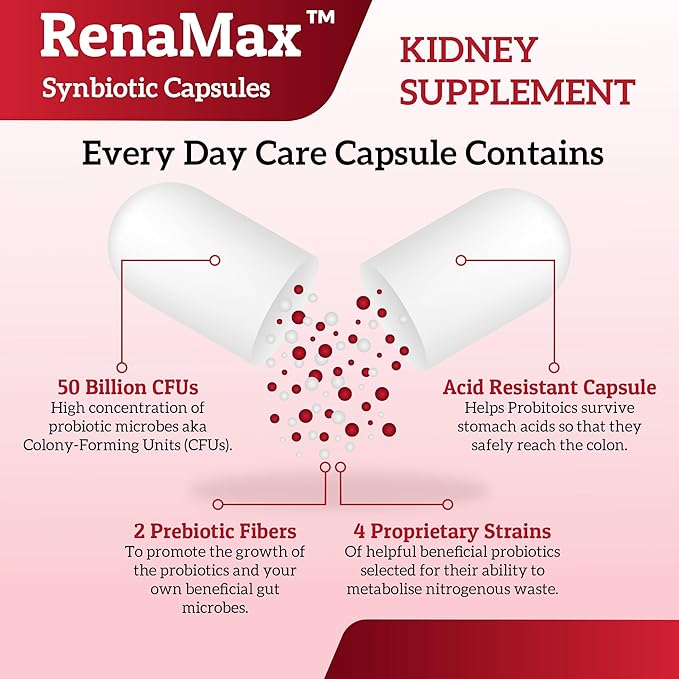Capsule Kidney Restores & Kidney Care Supplement 50 Billion (90 Capsules)