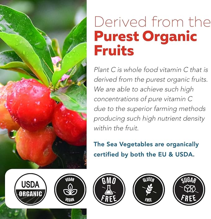 Organic Vitamin C (90 Servings)