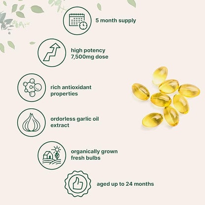Micro Ingredients Odorless Garlic 7500mg Per 300 Softgels 2 Years