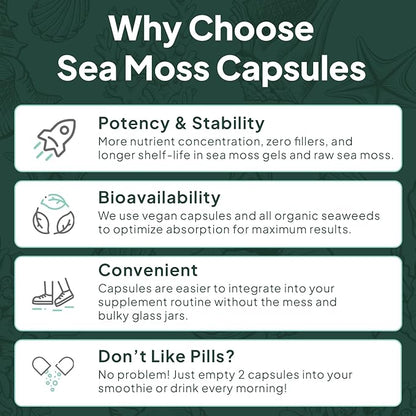 Wild Sea Moss Capsules - 100% Organic Irish Sea Moss with Organic Chlorella, Bladderwrack and Vitamin D for Energy, Lung Health and Thyroid Support for Women and Men - 6 Bottles