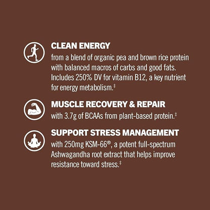 OM MUSHROOM SUPERFOOD Master Blend Plant-Based Protein Powder, 19.26 Ounce, 16 Servings, Creamy Chocolate Protein with 10 Mushroom Complex, Lions Mane, Adaptogens for Optimal Health and Recovery