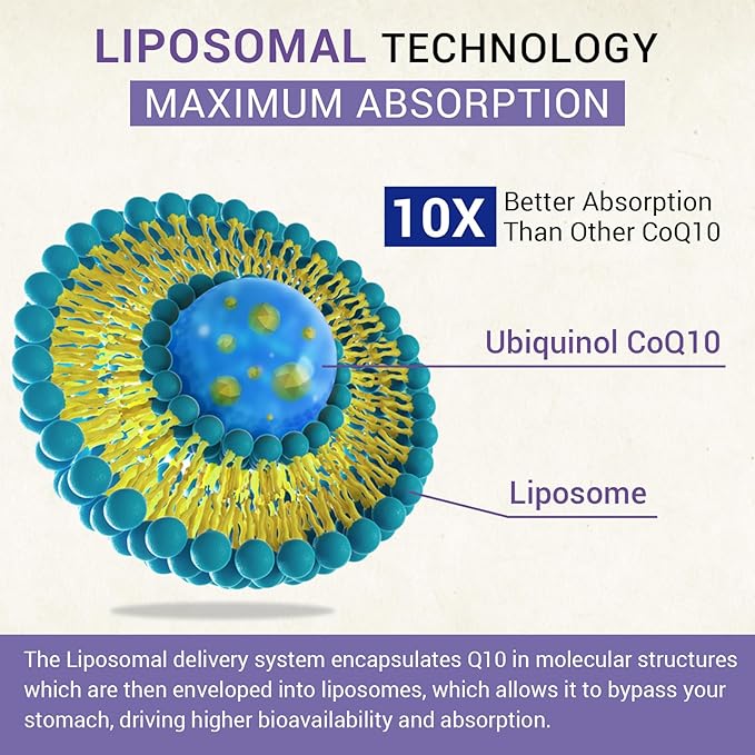 Liposomal Ubiquinol CoQ10 800 MG Softgel, CoQ10 Ubiquinol Q10 800mg, 800mg, Powerful 240 Vegan