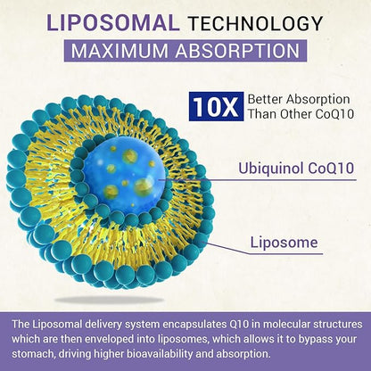 Liposomal Ubiquinol CoQ10 800 MG Softgel, CoQ10 Ubiquinol Q10 800mg, 800mg, Powerful 240 Vegan