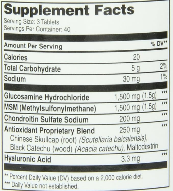 21st Century Healthcare Glucosamine Chondroitin Advanced 120 Tabs (27291)