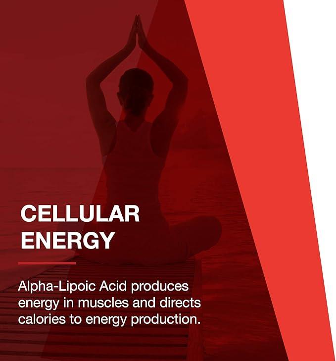 Protocol Alpha-Lipoic Acid 250mg 90 Veg
