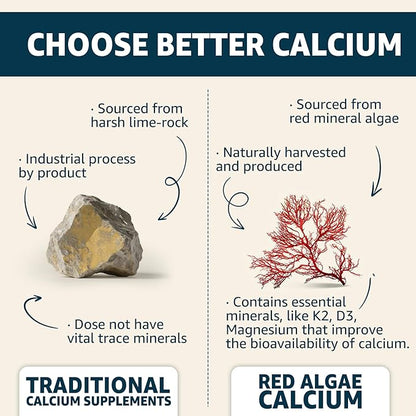 Calcium Gummies 600mg - Calcium Supplement for Women, Ocean Algae Calcium | Vitamin D3, K2, Magnesium | for Bone Strength, Muscle & Immnue | Sustainably Sourced Algae Calcium, 70+ Mineral, 1PACK