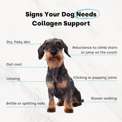 Collagen Puptides - Collagen for Dogs | Premium Dog Joint Support | Great for Senior & Adult Dogs. Premium Bovine, Marine Collagen, Omega 3s. Tasty Steak Collagen Chews for Dogs