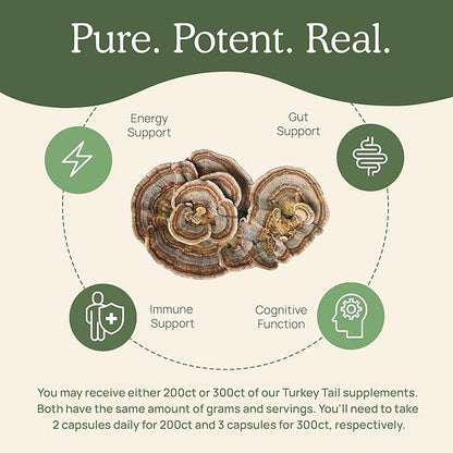 Turkey Tail Capsules - Organic Mushroom Supplement with Potent Turkey Tail Mushroom Extract for Gut, Energy, Brain, & Immune Support - Vegan Mushroom Extract, Non-GMO, 200 Caps