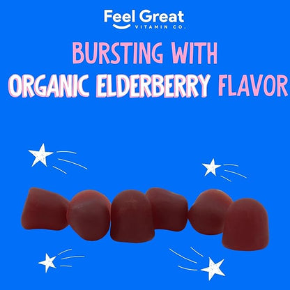 USDA Organic Elderberry Gummies for Kids | Kids Immune Support - Kids Elderberry Gummies with Zinc and Vitamin C - Gluten Free & Vegan Children's Vitamins - 60 Gummies | Sambucus Nigra Supplement