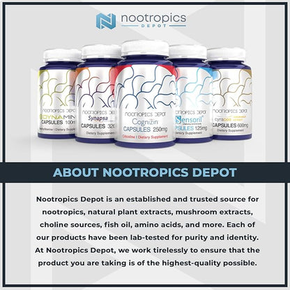 Nootropics Depot GS15-4 Panax Ginseng Extract Capsules 200mg | 30 Count