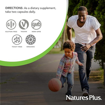 Natures Plus Source of Life Garden Certified Organic B Complex - 60 Vegan Capsules - Complete Vitamin B Supplement, Energy Booster - Vegetarian, Gluten-Free - 30 Servings