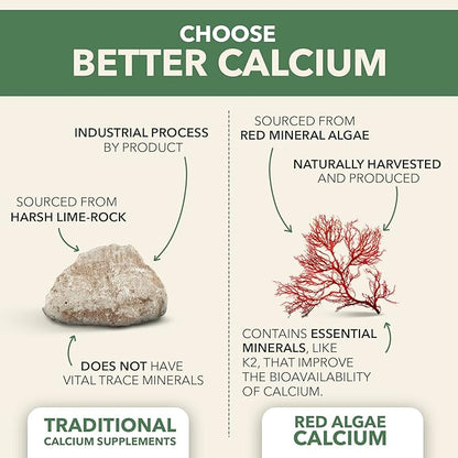 PlantFusion Vegan Calcium, Premium Plant Based (1000mg) Sourced D3, K2, K2, and 90 Vegan