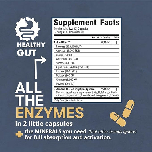 Healthy Gut HoloZyme Digestive Enzymes 90 Servings