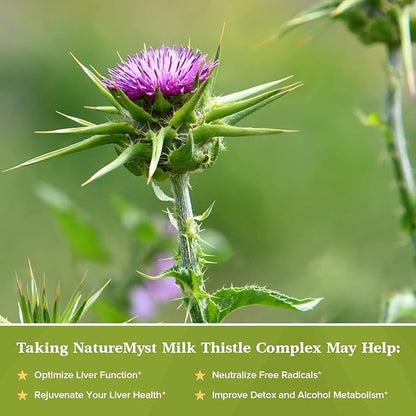 Milk Thistle Complex, 4-in-1 Liver Support, 30:1 Milk 80% Silymarin, 60 Vegetarian