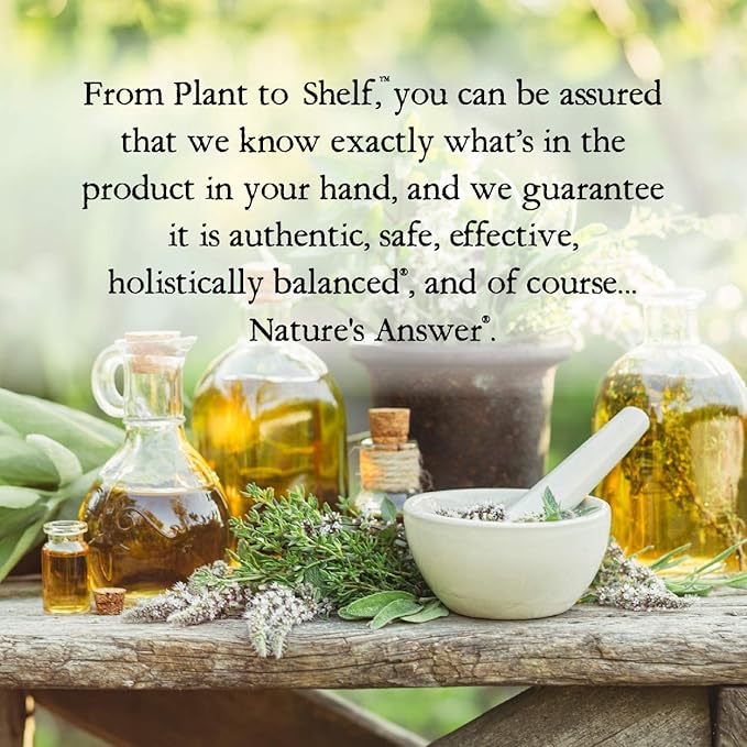 Nature's Answer Alcohol-Free Milk Thistle 1