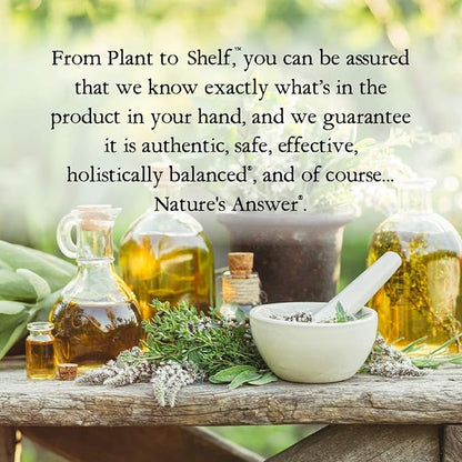 Nature's Answer Alcohol-Free Milk Thistle 1