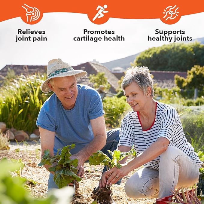 LifeSeasons Mobili-T - Joint Support Supplement - Glucosamine Chondroitin MSM Collagen Bromelain & Turmeric - Reduce Inflammation & Aches - Increase Range of Motion & Mobility - 208 Capsules