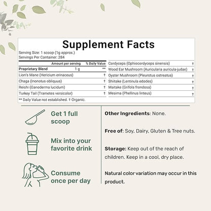 Micro Ingredients Organic Mega Mushroom 10 1 Complex 10 Ounce (284 Days