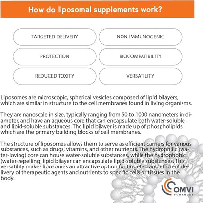 Formulas, Liposomal Vitamin C 1,000mg, High 60 Capsules, 30 Serving,