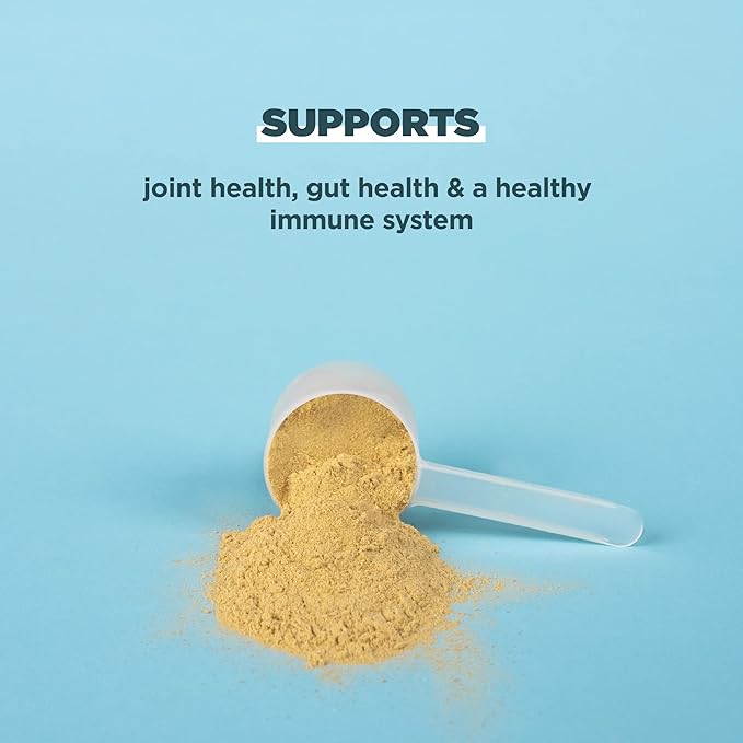 Ancient Nutrition Bone Broth Protein Powder, 20g Protein 40 Servings