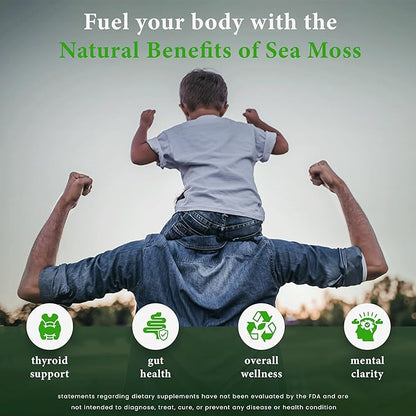 Sea Moss Gummies – Powerful 1500mg Serving | Infused with Bladderwrack, Burdock Root, Black Seed & Ashwagandha | Organic Sea Moss | Lemon Flavor - 60 Gummies