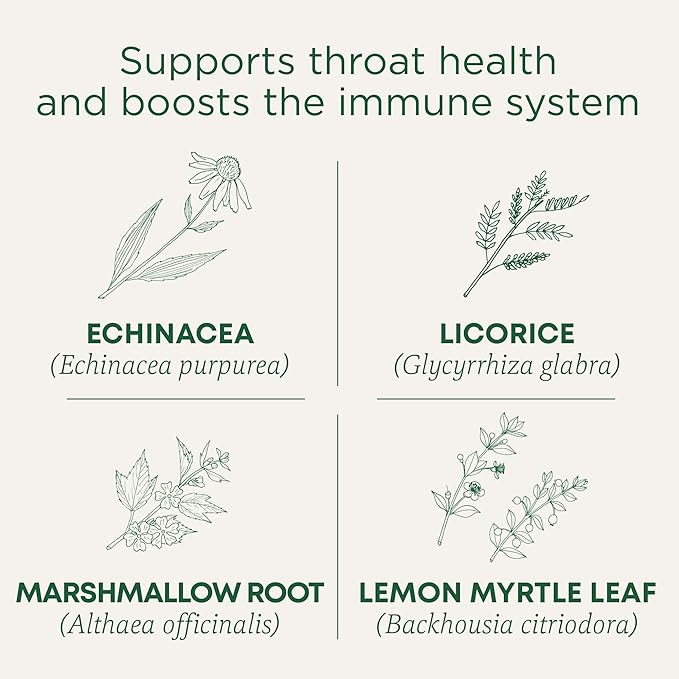 Traditional Medicinals Tea, Organic Throat Coat Lemon Echinacea, Supports Throat Health & Immune Function, 96 Tea Bags (3 Pack)