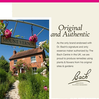 Bach Original Flower Remedies, Star of 10mL Dropper