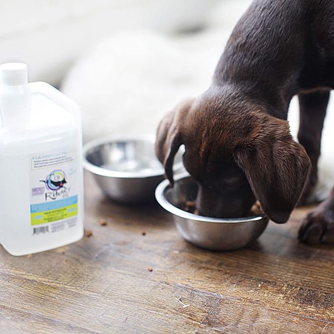 LifeSense C8 MCT Oil for Dogs, Keto-Friendly, Sourced from Coconut Oil, Human Grade, 32 oz, Made in USA by PhD Nutrition, Dog Optimal Fuel for The Brain and Body