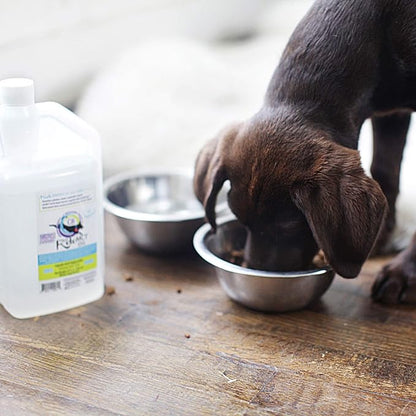 LifeSense C8 MCT Oil for Dogs, Keto-Friendly, Sourced from Coconut Oil, Human Grade, 32 oz, Made in USA by PhD Nutrition, Dog Optimal Fuel for The Brain and Body
