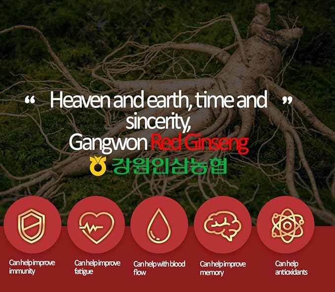[Gangwoninsam] 6 Year Korean Red Ginseng (3g x 50 packets) 6 Year