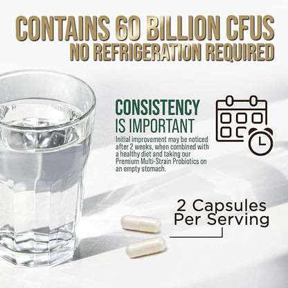 Daily Probiotic and Acidophilus Prebiotic Supplement 60 Billion CFU Capsule for Women & Men - 10 Diverse Strains - for Bloating Gas & Digestive Gut & Immune Health Support, Gluten Free - 60 Capsules