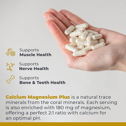 Premier Research Labs Calcium Magnesium Plus - Calcium Magnesium Supplement, Calcium Supplement for Bone Health, with Mushroom Complex - Reishi & Lions Mane - 90 Vegetarian Capsules