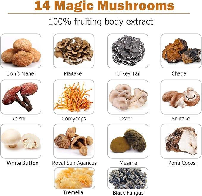 14 Mushrooms Supplement 120 Capsules 30% Beta-Glucan