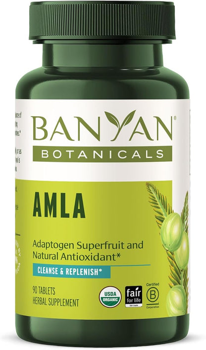 Banyan Botanicals Amla (Amalaki) Tablets – 90 Tablets