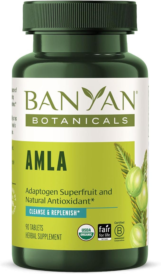 Banyan Botanicals Amla (Amalaki) Tablets – 90 Tablets