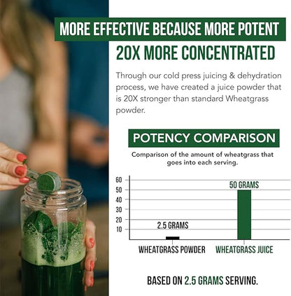 Organic Wheatgrass Juice Powder - Organically Grown in Volcanic Soil of Utah - Raw & BioActive Form, Cold-Pressed Then CO2 Dried, 20:1 Super Concentrate - Lemon (6.2 oz - 60 Servings)