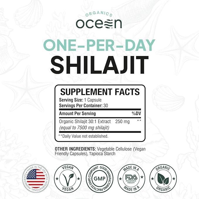 One-Per-Day Shilajit for Men and Women - Natural and Potent Shilajit Supplement for Age-Defying, Bone Strength, Hormone Support and More - 6 Bottles Shilajit Capsules