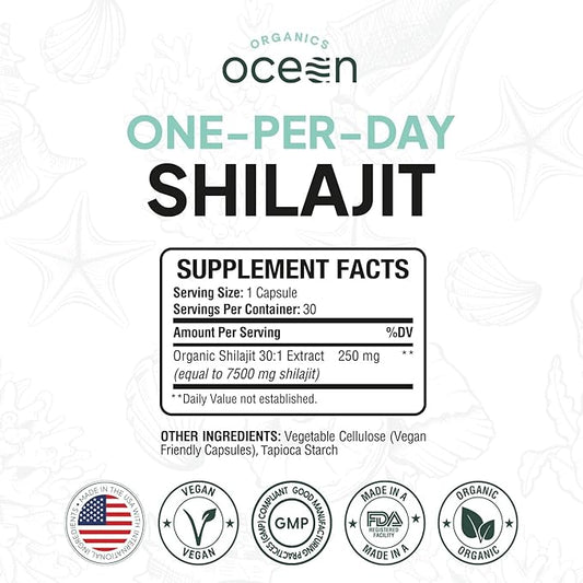 One-Per-Day Shilajit for Men and Women - Natural and Potent Shilajit Supplement for Age-Defying, Bone Strength, Hormone Support and More - 6 Bottles Shilajit Capsules