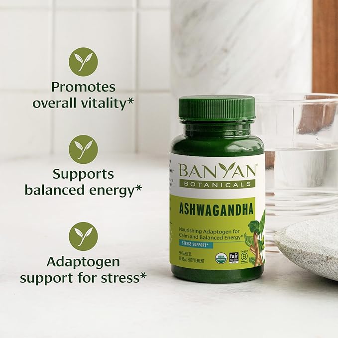 Banyan Botanicals Ashwagandha Tablets – Organic 90 Tablets