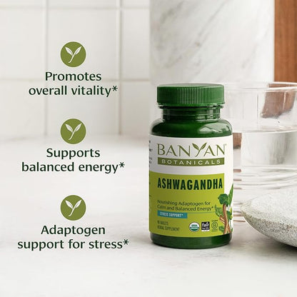 Banyan Botanicals Ashwagandha Tablets – Organic 90 Tablets