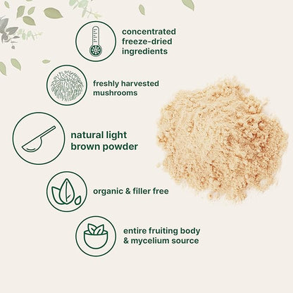 Micro Ingredients Organic Lions Mane Mushroom 16 Ounce