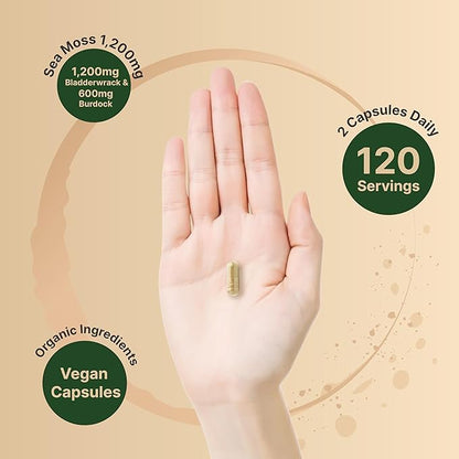 Irish Sea Moss Capsules, 3,000mg Per Serving, 240 Veggie Pills | Made with Organic Raw Powder, Plus Bladderwrack & Burdock Root, Sea Vegetable Complex – Immune & Thyroid Superfood Support – Non-GMO