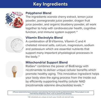 Gundry MD Vital Recharge Supplement Powder 30 Servings